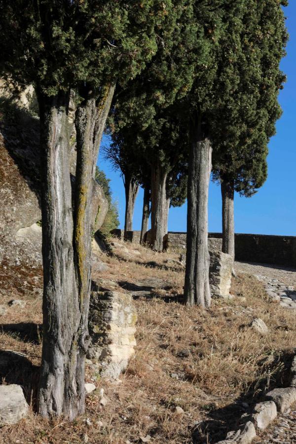 Le 37 Malaucene Bed and Breakfast Esterno foto